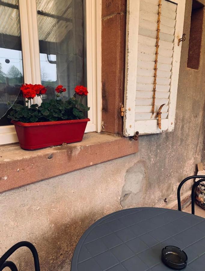 Appartement avec terrasse privative Celles-sur-Plaine Esterno foto
